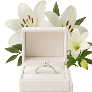 Ring Box